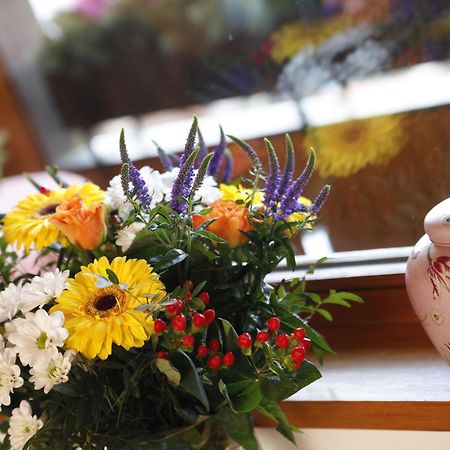 Ferienresort Am Mattenweg Hinterzarten Ngoại thất bức ảnh